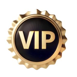 VIP Customer Payment Channel  NO.1